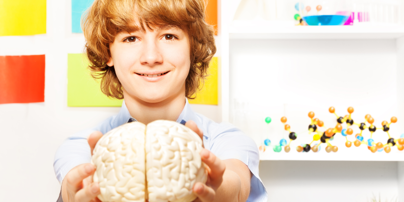 Balanced Brain, More Resilient Children